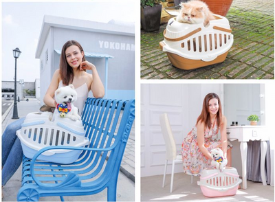 White and pink portable pet carrier with a transparent brown top, ventilation slots, and a sturdy handle. - Image 13
