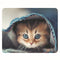 Cat02