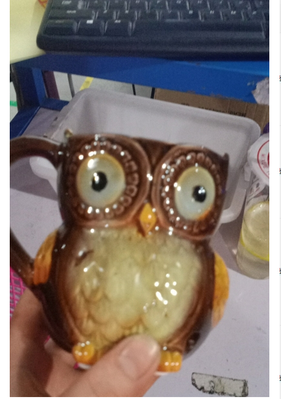 Taza de Cerámica con Diseño de Búho - Image 10
