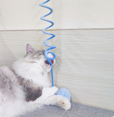 Juguete Interactivo para Gatos con Ventosa y Bola de Pelo - Image 26