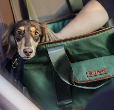 Mochila de Viaje para Mascotas Pequeñas - Gatos y Perros - Image 6