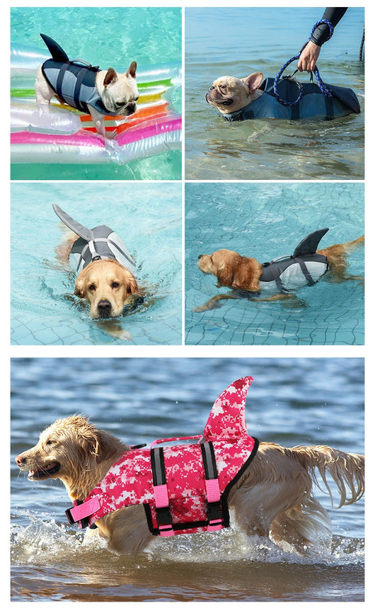 Chaleco Salvavidas para Perros Shark - Ropa de Baño Segura - Image 11