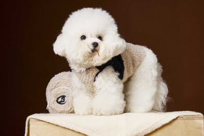 Chaleco de Terciopelo Acolchado Schnauzer Bichon sin Mangas - Image 4