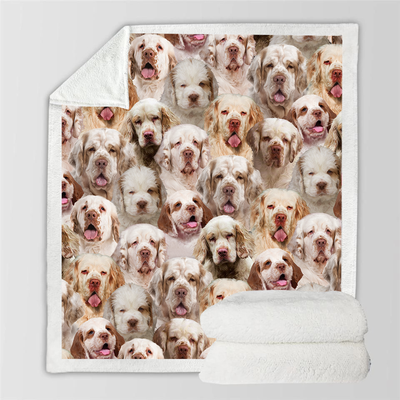 Manta Flanela Estampada para Perros de Moda - Image 71