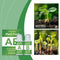 Solución Nutritiva Hidropónica Dual A&B para Flores y Plantas sin Suelo