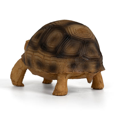 Adorno de Resina para Tortugas Brasileñas - Hábitat Acuático Realista - Image 9