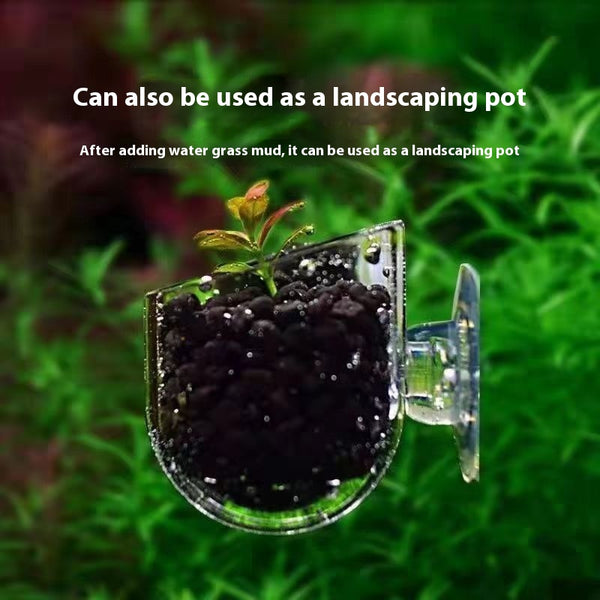 Comedero Transparente con Paisaje para Acuario