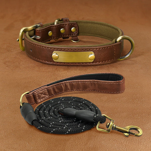 Collar para Perro Personalizado con Grabado Anti-pérdida - Image 22