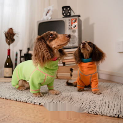 Suéter Tipo Waffle para Perros Salchicha - Abrigo Versátil Todas las Estaciones - Image 11