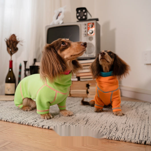 Suéter Tipo Waffle para Perros Salchicha - Abrigo Versátil Todas las Estaciones - Image 11