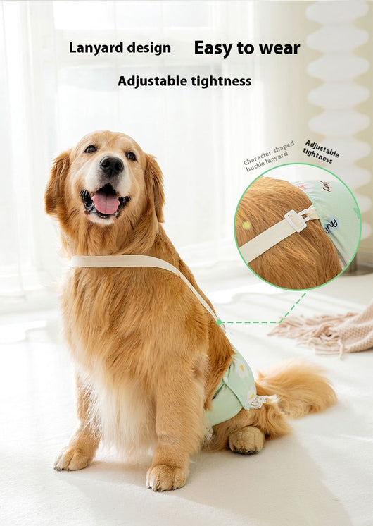 Pantaletas Menstruales Absorbentes Big Dog - Protección Cómoda Todo el Día - Image 20