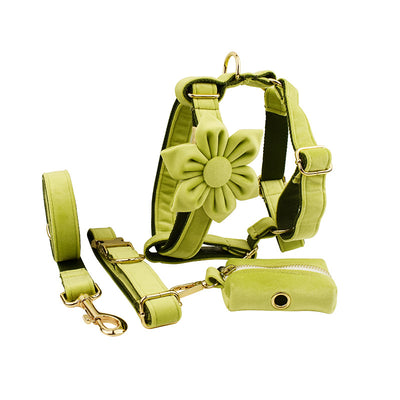 Collar de Perro Terciopelo Suave y Elegante