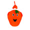 Ropa Naranja Talla Única