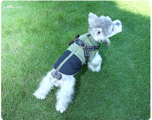 Ropa Impermeable para Mascotas en Algodón Resistente - Image 11