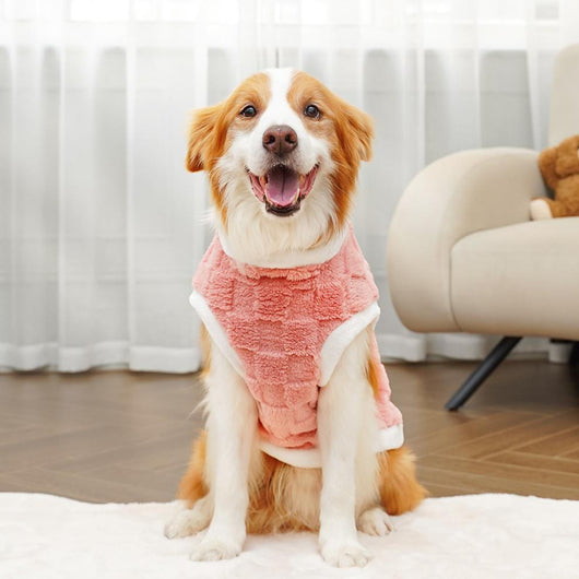 Ropa de Algodón para Mascotas - Colección Otoño Invierno - Image 16