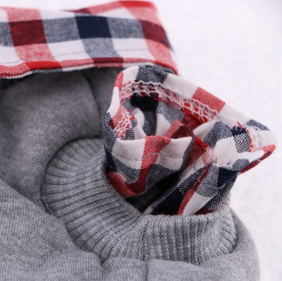 Ropa Casual Cómoda para Perros - Image 7