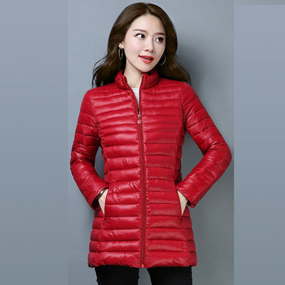 Chaqueta de Algodón Entallada Talla Grande - Corte Medio Ligero - Image 7