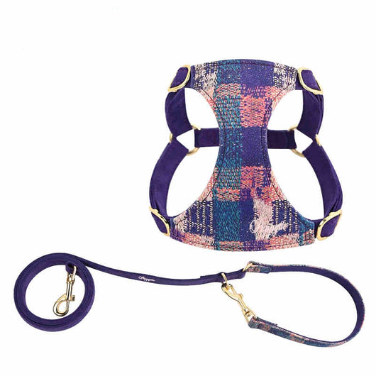 Arnés de Paseo con Cuerda de Mano para Perros - Image 10