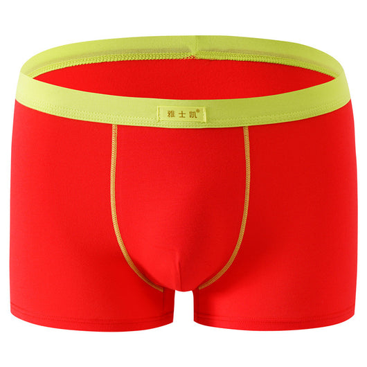 Shorts de Algodón Talla Grande Cómodos y Sensuales - Image 38