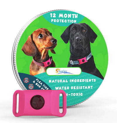 Pink pet collar accessory in front of a circular flea and tick collar label with two dogs.