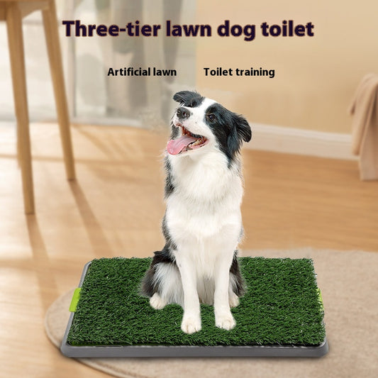 Arenero de Entrenamiento Fijo para Perros - Baño Portátil