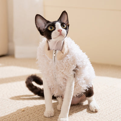 Abrigo Cálido para Mascotas Pequeñas con Diseño de Oveja Esponjosa y Panda - Image 17