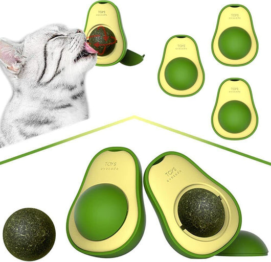 Juguete Interactivo de Aguacate con Catnip para Limpieza Dental Felina - Image 15