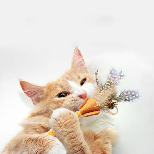 Palo de Madera Poligono con Pluma para Gatos - Juguete Mordedor Natural - Image 18