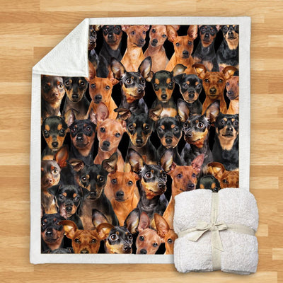 Manta de Franela Estampada para Perros de Diseño Moderno - Image 54