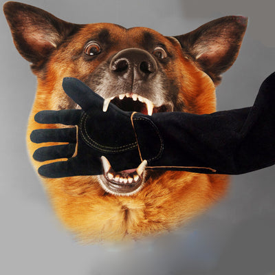 Guantes Protectores Reforzados para Mascotas