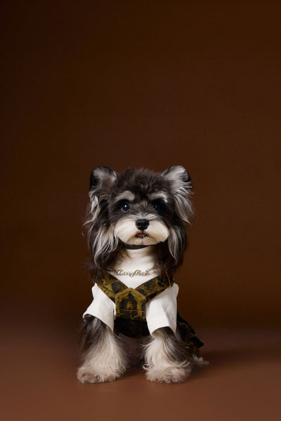 Overol para Perro Estampado Leopardo Otoño - Image 13