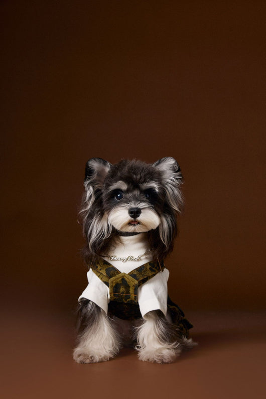 Overol para Perro Estampado Leopardo Otoño - Image 13