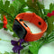 Naranja