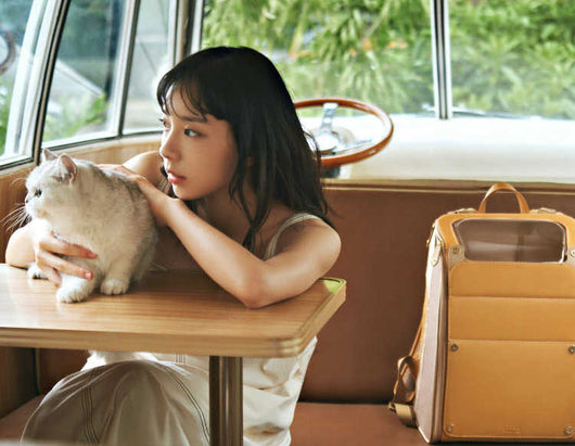 Mochila Transportadora para Gatos Portátil de Gran Capacidad Transpirable - Image 3