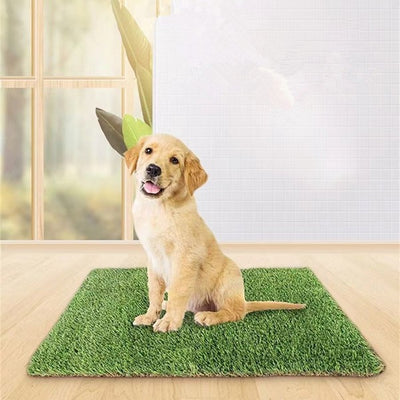 Tapete Sanitario Artificial para Perros y Gatos - Césped Sintético Entrenador - Image 3