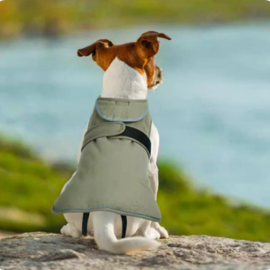 Abrigo Impermeable para Perros con Forro Polar Térmico - Image 10