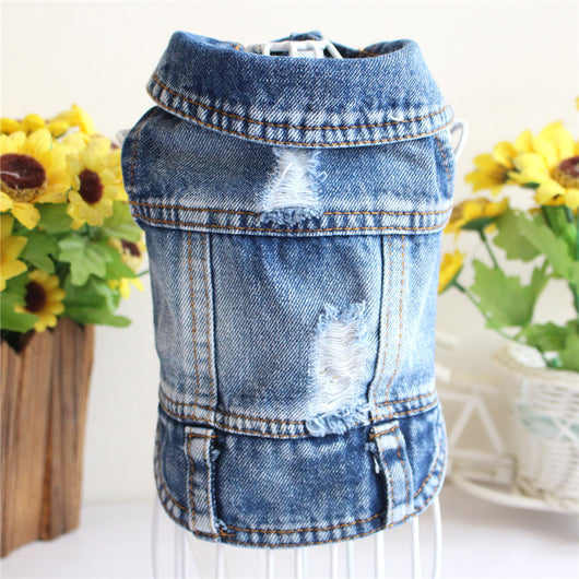 Chaleco Denim para Perros Pequeños - Abrigo de Moda Primavera para Mascotas - Image 4