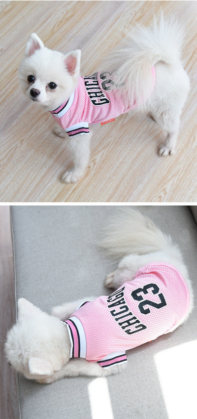 Chaleco Deportivo de Malla para Perros Talla Grande - Ropa Fresca para Verano - Image 20