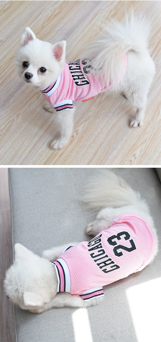 Chaleco Deportivo de Malla para Perros Talla Grande - Ropa Fresca para Verano - Image 20