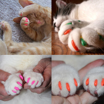 Protectores de Uñas para Gatos - Set Completo Anti-arañazos