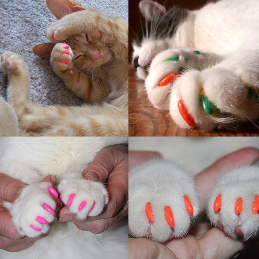 Protectores de Uñas para Gatos - Set Completo Anti-arañazos