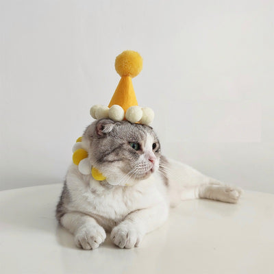 Sombrero de Cumpleaños para Mascotas - Accesorios Fotográficos Adorables - Image 13