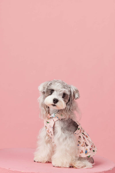 Falda Denim con Tirantes para Perros Pequeños Schnauzer y Maltés - Image 18