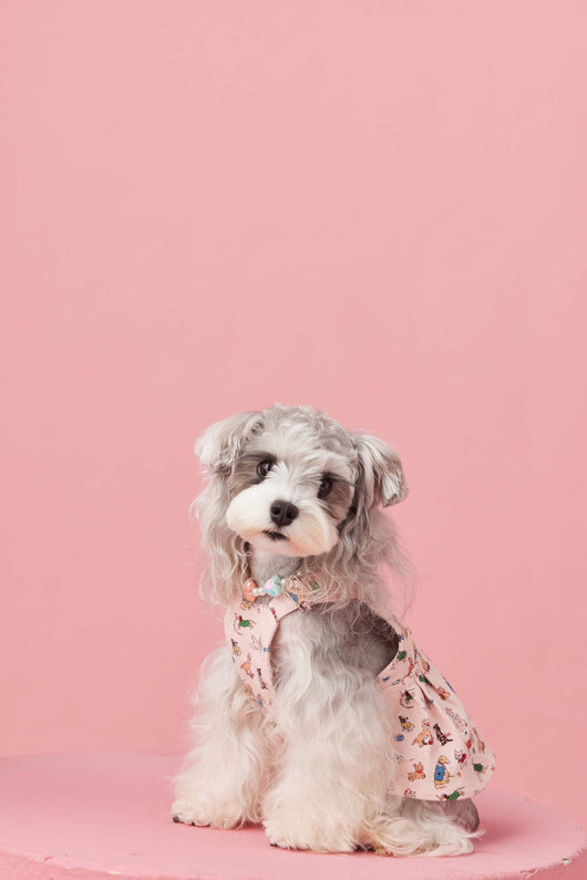 Falda Denim con Tirantes para Perros Pequeños Schnauzer y Maltés - Image 18