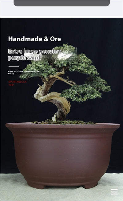 Maceta Cerámica Púrpura Grande 60cm para Árboles y Plantas Antiguas - Image 34
