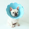 Collar Protector Antilamido con Cubierta Girasol para Mascotas