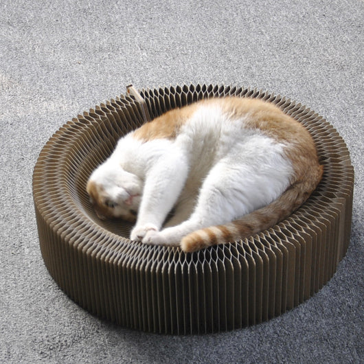 Rascador Corrugado Plegable Orgánico para Gatos - Afilador de Garras Premium - Image 3
