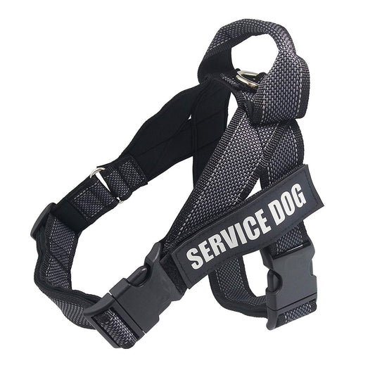 Arnés de Seguridad para Perros Grandes en Auto