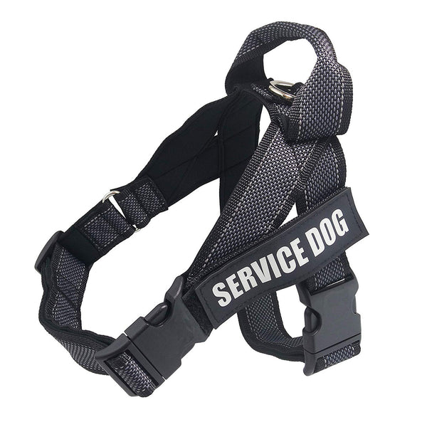 Arnés de Seguridad para Perros Grandes en Auto