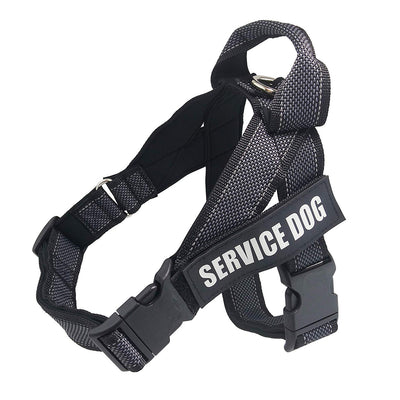 Arnés de Seguridad para Perros Grandes en Auto
